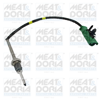 Sensor uitlaatgastemperatuur Meat Doria 12395