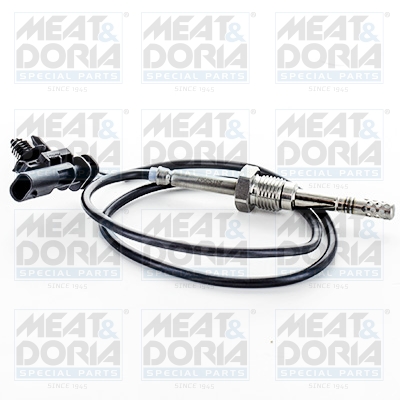 Sensor uitlaatgastemperatuur Meat Doria 12401