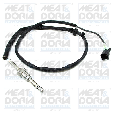 Sensor uitlaatgastemperatuur Meat Doria 12402