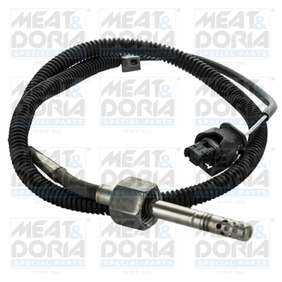 Sensor uitlaatgastemperatuur Meat Doria 12405