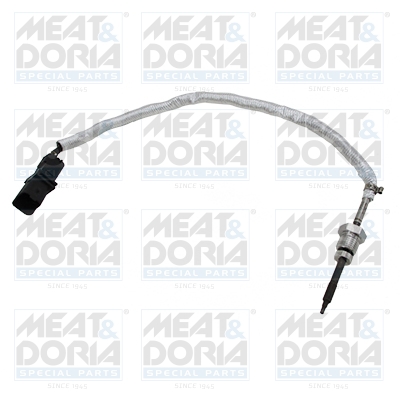 Sensor uitlaatgastemperatuur Meat Doria 12408