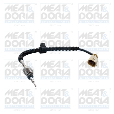 Sensor uitlaatgastemperatuur Meat Doria 12412