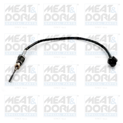 Sensor uitlaatgastemperatuur Meat Doria 12417