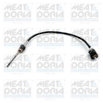 Sensor uitlaatgastemperatuur Meat Doria 12419