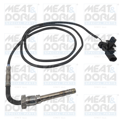 Sensor uitlaatgastemperatuur Meat Doria 12420