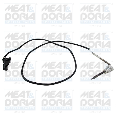 Sensor uitlaatgastemperatuur Meat Doria 12420E