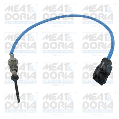 Sensor uitlaatgastemperatuur Meat Doria 12430