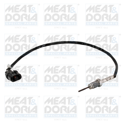 Sensor uitlaatgastemperatuur Meat Doria 12440