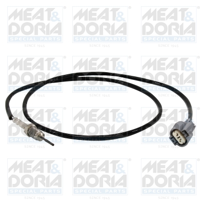 Sensor uitlaatgastemperatuur Meat Doria 12441