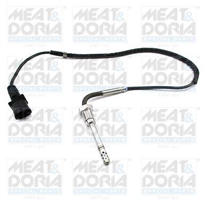 Sensor uitlaatgastemperatuur Meat Doria 12445