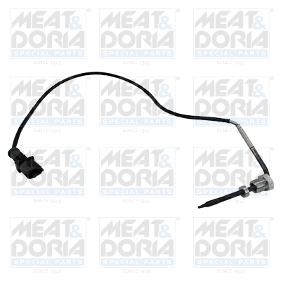 Sensor uitlaatgastemperatuur Meat Doria 12446E