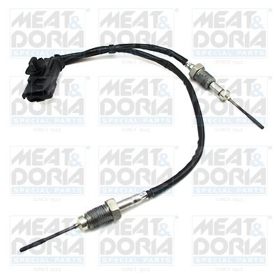 Sensor uitlaatgastemperatuur Meat Doria 12448