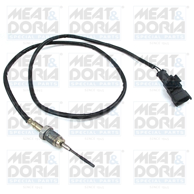 Sensor uitlaatgastemperatuur Meat Doria 12450