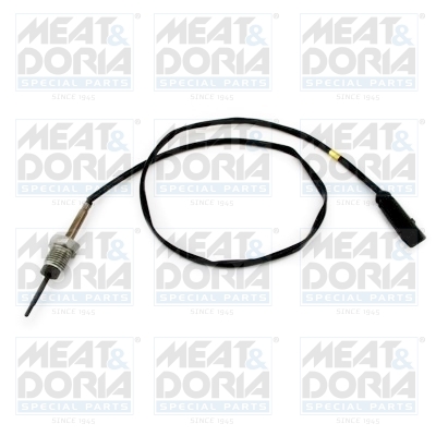 Sensor uitlaatgastemperatuur Meat Doria 12462