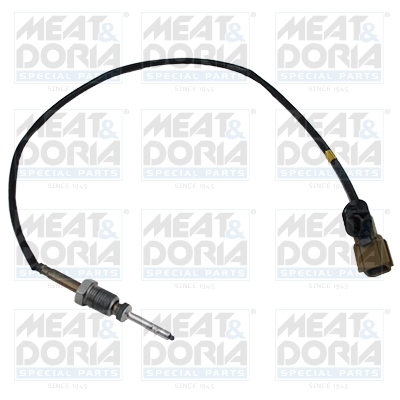 Sensor uitlaatgastemperatuur Meat Doria 12467