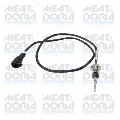 Sensor uitlaatgastemperatuur Meat Doria 12474