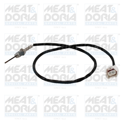 Sensor uitlaatgastemperatuur Meat Doria 12477