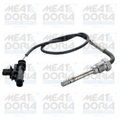 Sensor uitlaatgastemperatuur Meat Doria 12485