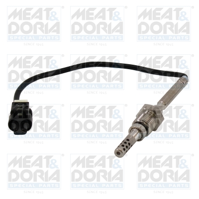 Sensor uitlaatgastemperatuur Meat Doria 12501