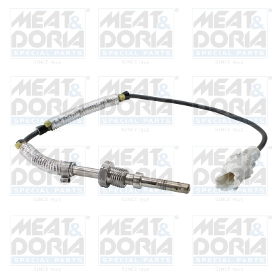 Sensor uitlaatgastemperatuur Meat Doria 12508