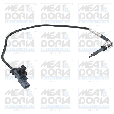 Sensor uitlaatgastemperatuur Meat Doria 12510