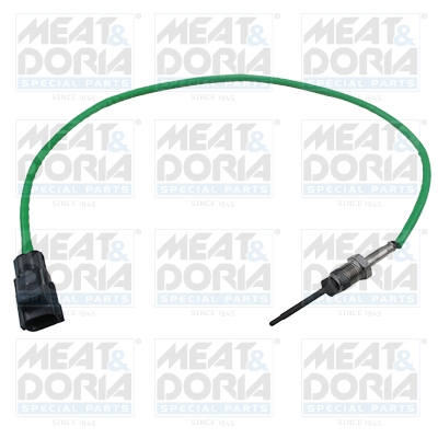 Sensor uitlaatgastemperatuur Meat Doria 12517