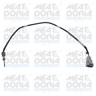 Sensor uitlaatgastemperatuur Meat Doria 12519