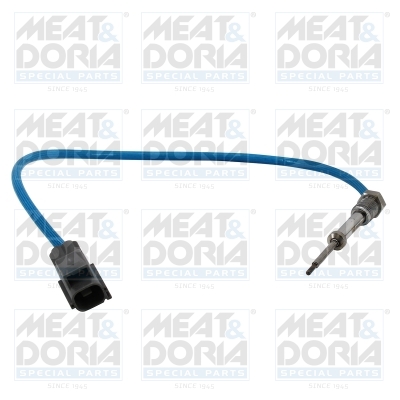 Sensor uitlaatgastemperatuur Meat Doria 12530