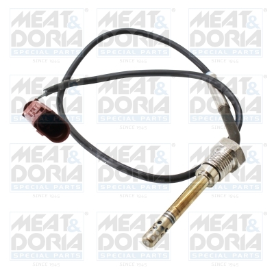 Sensor uitlaatgastemperatuur Meat Doria 12566