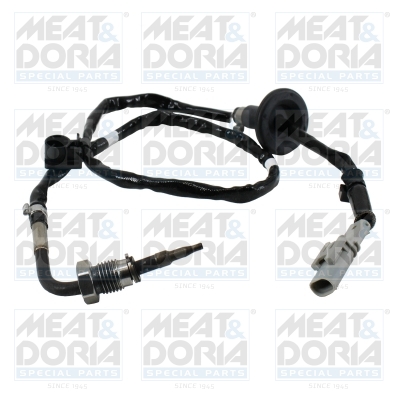 Sensor uitlaatgastemperatuur Meat Doria 12591