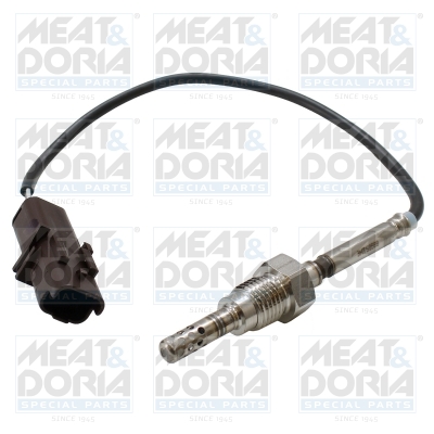 Sensor uitlaatgastemperatuur Meat Doria 12595