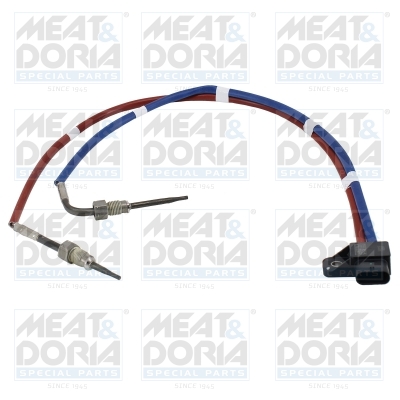 Sensor uitlaatgastemperatuur Meat Doria 12599