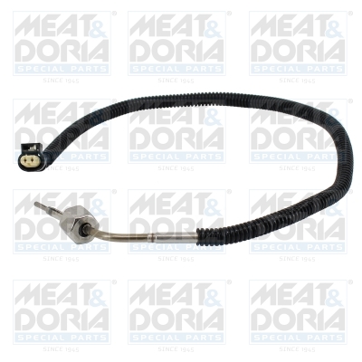 Sensor uitlaatgastemperatuur Meat Doria 12601