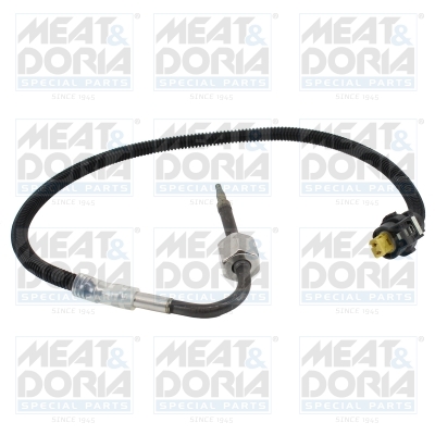 Sensor uitlaatgastemperatuur Meat Doria 12604