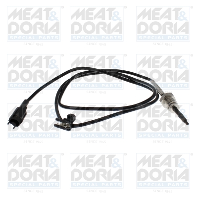 Sensor uitlaatgastemperatuur Meat Doria 12619