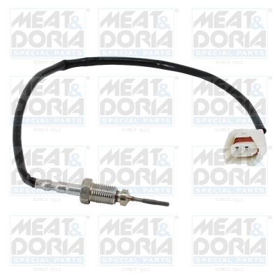 Sensor uitlaatgastemperatuur Meat Doria 12633