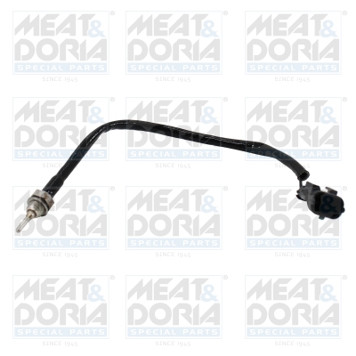 Sensor uitlaatgastemperatuur Meat Doria 12636