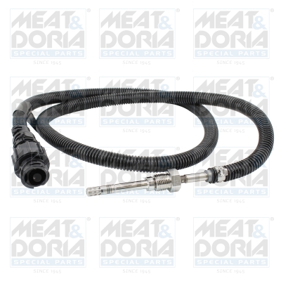 Sensor uitlaatgastemperatuur Meat Doria 12648