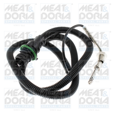 Sensor uitlaatgastemperatuur Meat Doria 12651