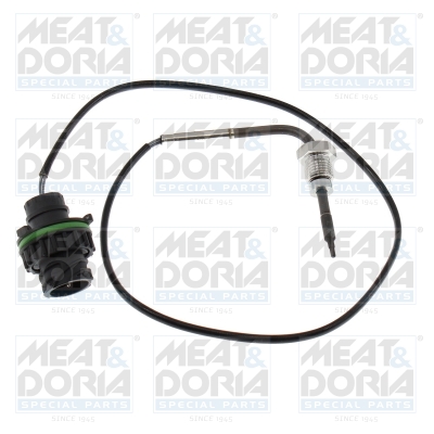 Sensor uitlaatgastemperatuur Meat Doria 12653