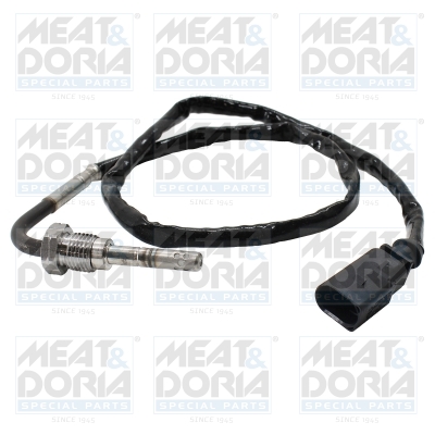 Sensor uitlaatgastemperatuur Meat Doria 12677