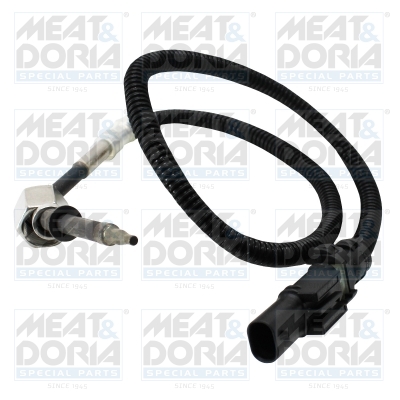 Sensor uitlaatgastemperatuur Meat Doria 12687