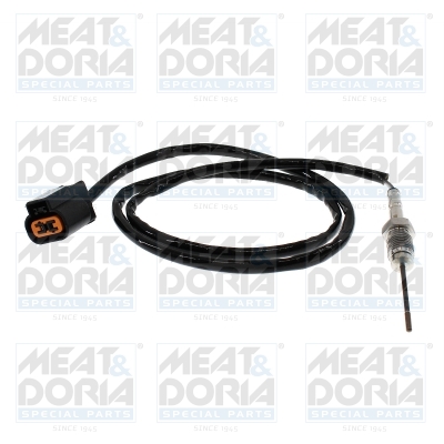 Sensor uitlaatgastemperatuur Meat Doria 12693