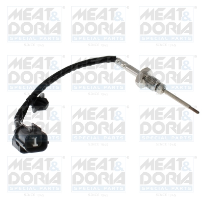 Sensor uitlaatgastemperatuur Meat Doria 12698