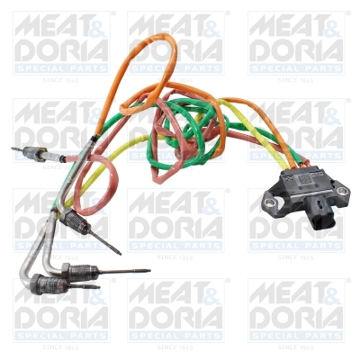 Sensor uitlaatgastemperatuur Meat Doria 12752