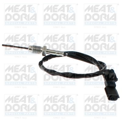 Sensor uitlaatgastemperatuur Meat Doria 12803