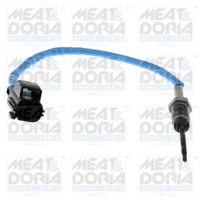 Sensor uitlaatgastemperatuur Meat Doria 12815