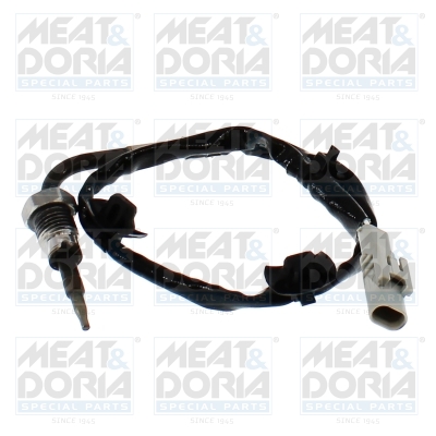 Sensor uitlaatgastemperatuur Meat Doria 12823