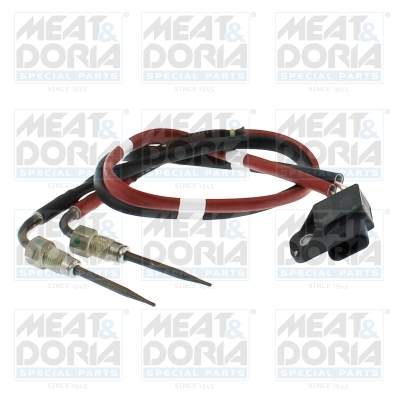 Sensor uitlaatgastemperatuur Meat Doria 12836