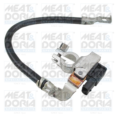 Accumanagement sensor Meat Doria 241007